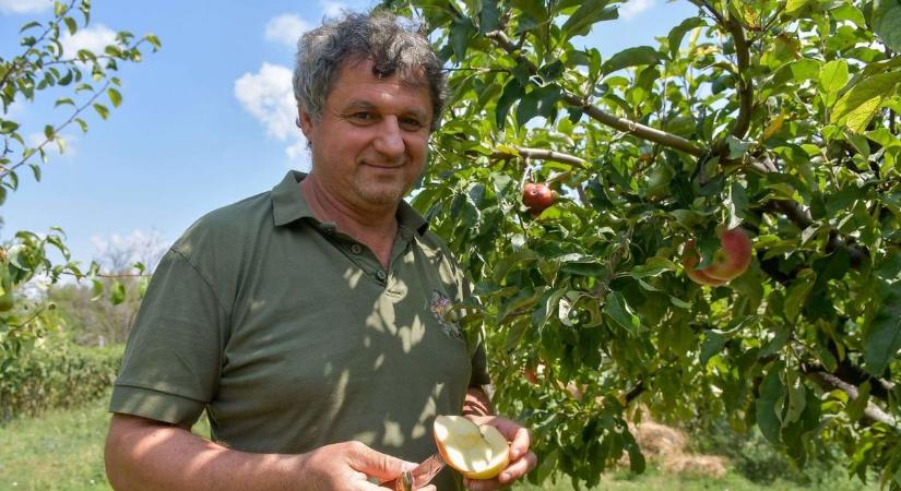 Ne hagyd ki: filléres gyümölcs szedd magad akciókkal – térképen a helyek