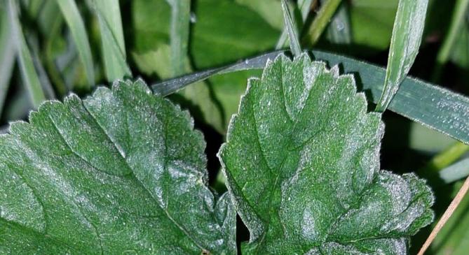 Itt az újabb szezonrekord, -3,2 fokig hűlt a levegő Zabaron