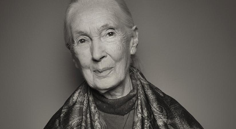 Sosem látott fiatalkori képekkel emlékezünk a 91 évesen elhunyt Jane Goodallre