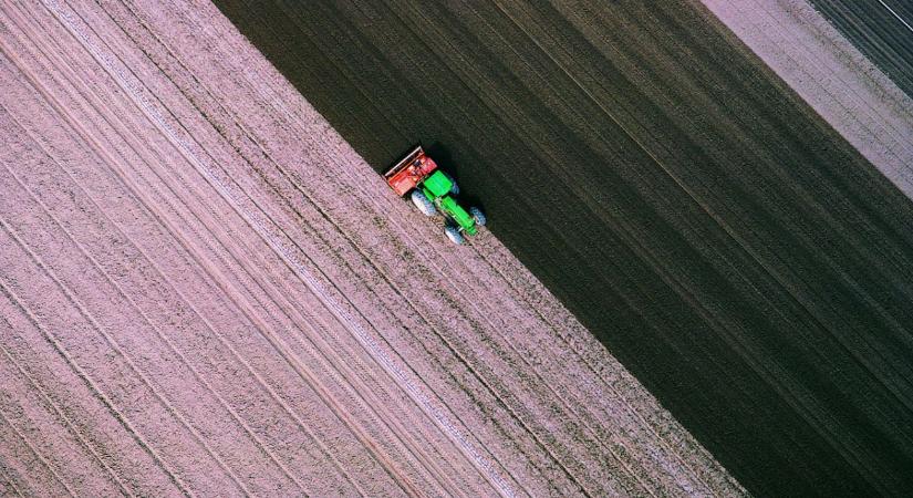 Dióskál a fenntartható gazdálkodás élvonalában