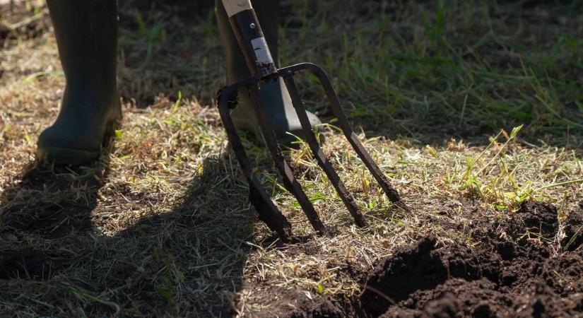 Vasvillával támadt ismerősére, életveszélyes sérüléseket okozott