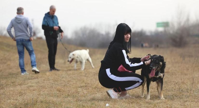 Negyedszázada segítik az állatokat, most ünnepelnek egy kicsit - képek, videó