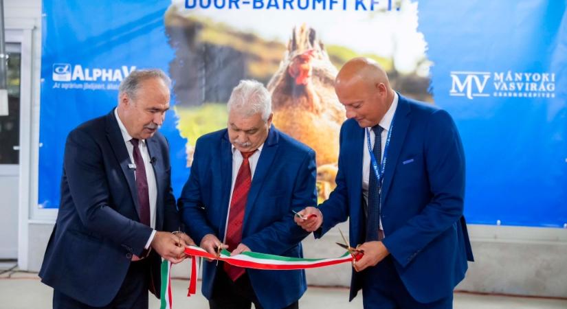 A baromfiágazat az egyik legversenyképesebb állattenyésztő ágazat