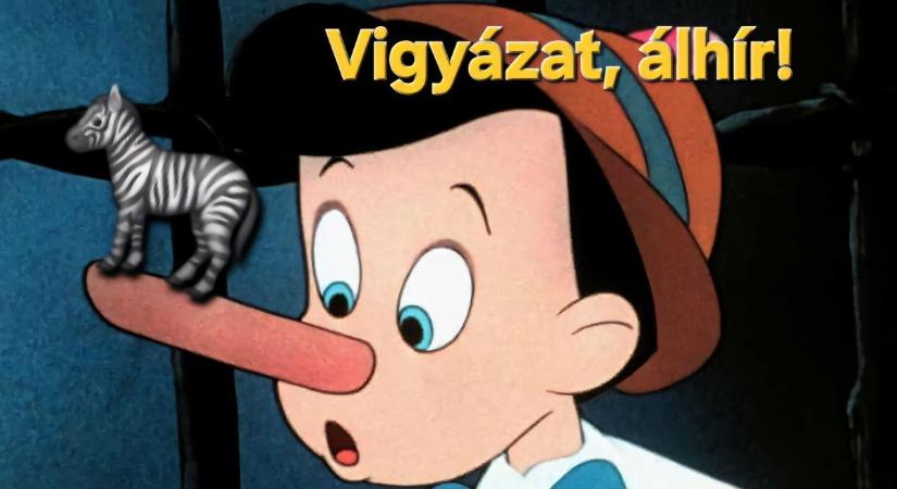 Takács Péter bebizonyította, milyen elképesztő álhírgyártás zajlik a baloldali sajtóban