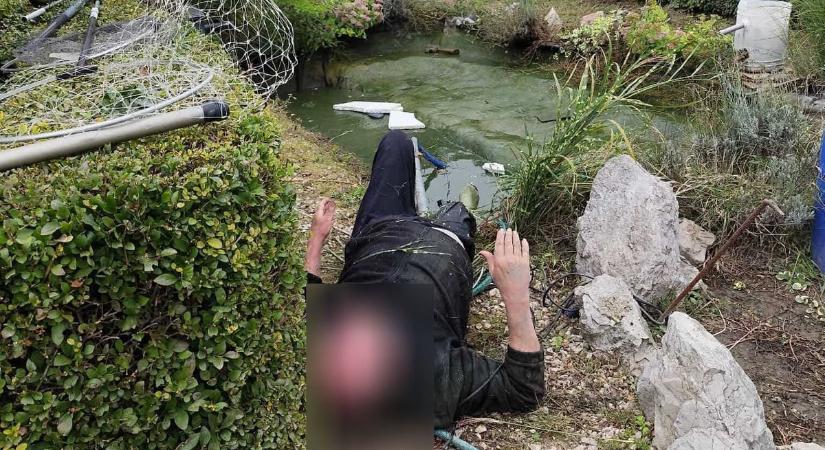 Rendőrök mentettek ki egy kerti tóba esett férfit Adonyban