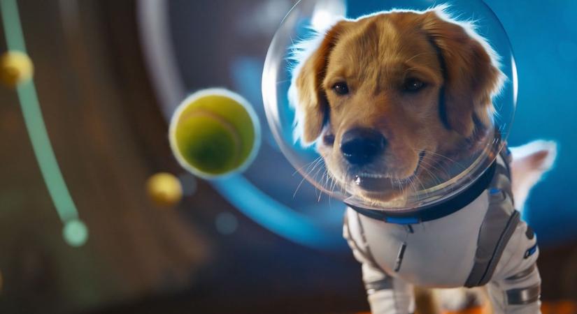 OpenAI bemutatta a Sora 2-t – valósághűbb videók, hanghatások és iOS app is érkezik