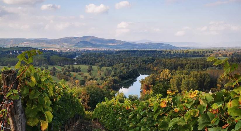 Mindszenthavi Mulatság 2025. – Borok, zene és hagyományőrzés Tokaj-Hegyalja lankáin
