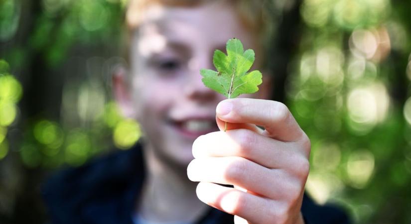 Erdők Hete a Jászkunságban – a szolnoki vadaspark is különleges programokkal készült – galériával