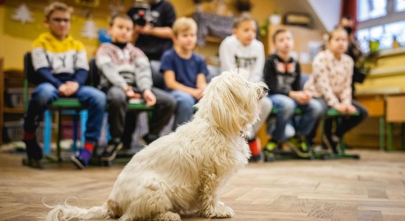 Rekordszámú diák csatlakozott az állatvédelmi témahéthez ( videó)