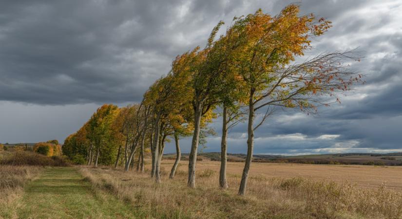 Viharos szél söpör végig az országon - megszólaltak a meteorológusok