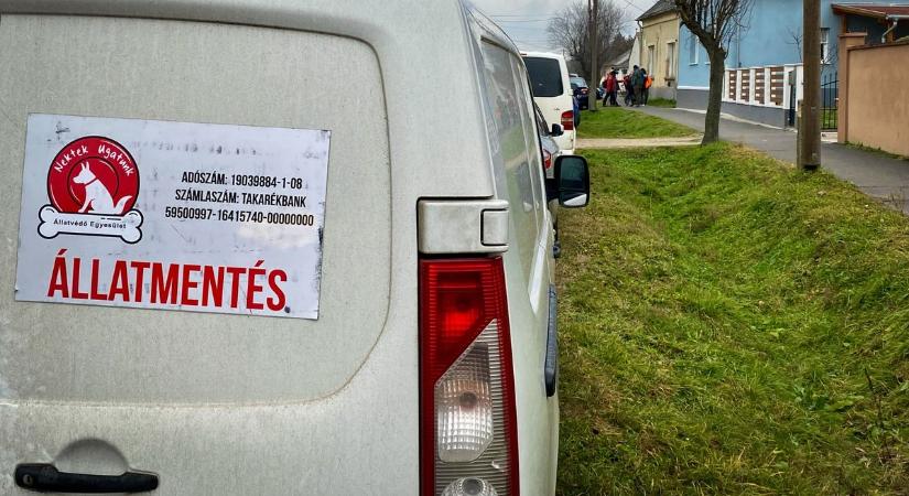 Állatkínzás miatt indult eljárás egy idős zalai nő ellen - így bánt a kutyáival