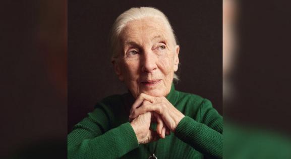 Jane Goodall, aki küldetésének tekintette, hogy reményt adjon