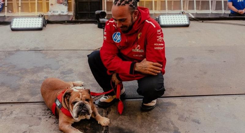 Hamiltont meghatotta a rengeteg üzenet, amelyet Roscoe elvesztése után kapott