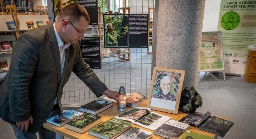 Így búcsúznak Zalában Jane Goodalltól, aki jobb hellyé akarta tenni a világot
