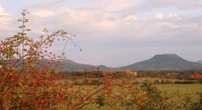 Nyugaton naposabb
