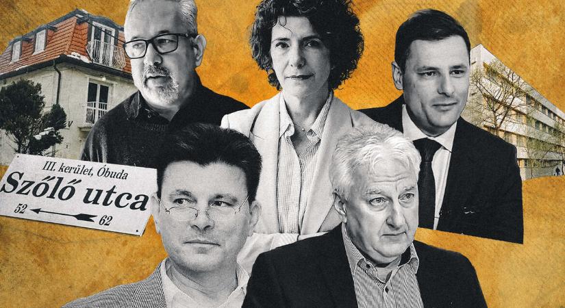 A Szőlő utca, a kihasznált állami gondozottak és „Zsolt bácsi” összemosása mindhárom ügynek árt
