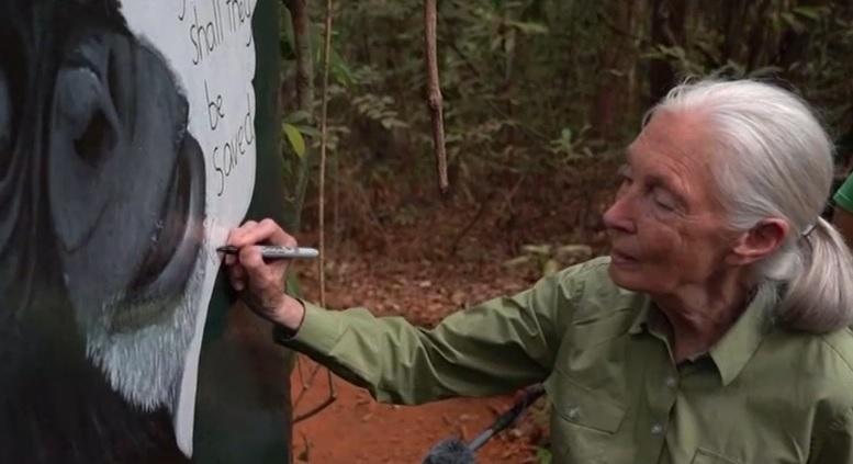 Radar – 91 éves korában elhunyt Jane Goodall  videó