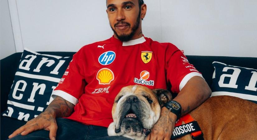 Hamilton: „Roscoe volt a legfontosabb az életemben”