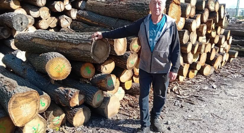 Tüzelőpiac a fagyok előtt - a fát keresik, a szenet egyáltalán nem