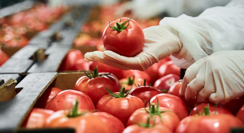 Gigavállalat épül az agráriumban: Magyarország is a részese