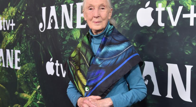 Íme a 9 életlecke, amit Jane Goodall hagyott ránk