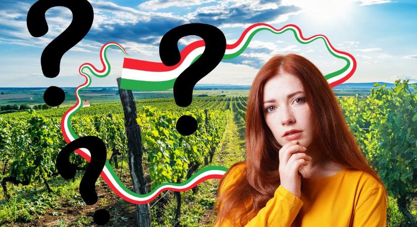 Rendhagyó földrajz kvíz: hány Magyarországgal kapcsolatos kérdésre tudod a választ?
