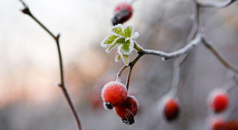 Pénteki időjárás: késő este nagyon fogunk fázni, 2 Celsius fok lesz