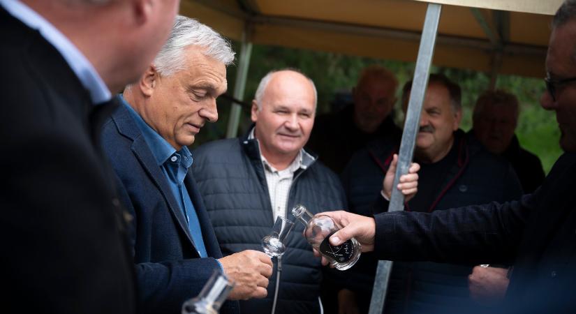 Karafiáth Orsolya: Mit jelent a magyarnak az alkoholba pácolt, összecefrézett, pálinkaüstben fonnyasztott szabadság?