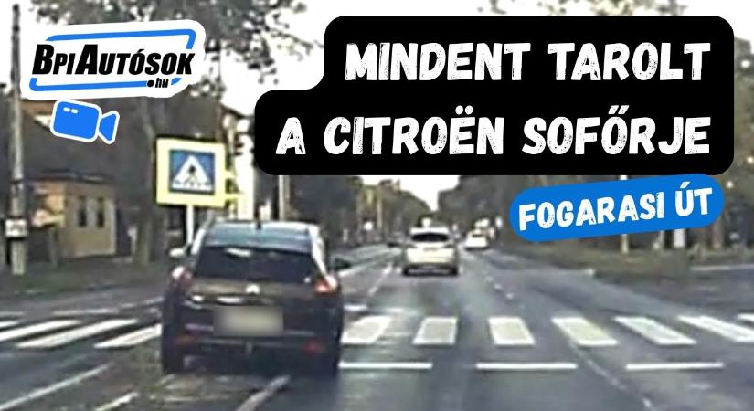 Mindent tarolt a Fogarasi úton, majd mintha mi sem történt volna, továbbhajtott
