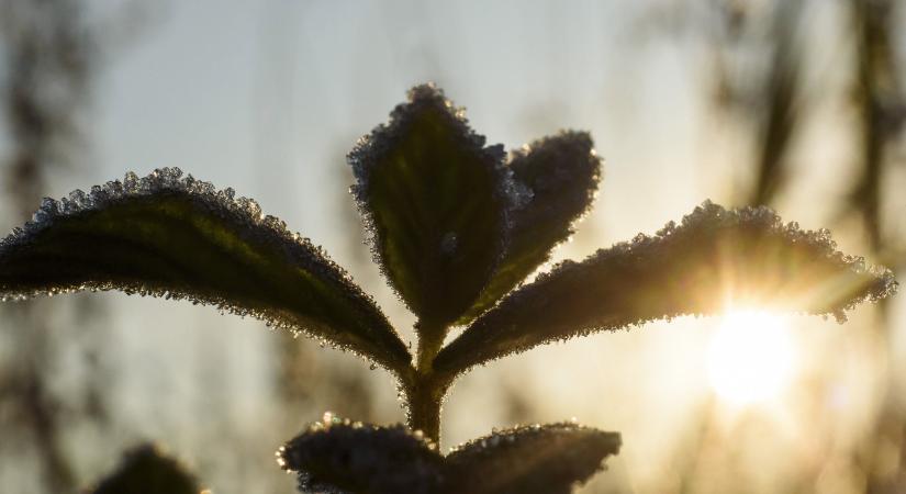 Megdőlt a hidegrekord: mínusz 4,6 Zabaron