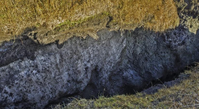 Évezredek óta szunnyadó baktériumokat ébresztettek fel