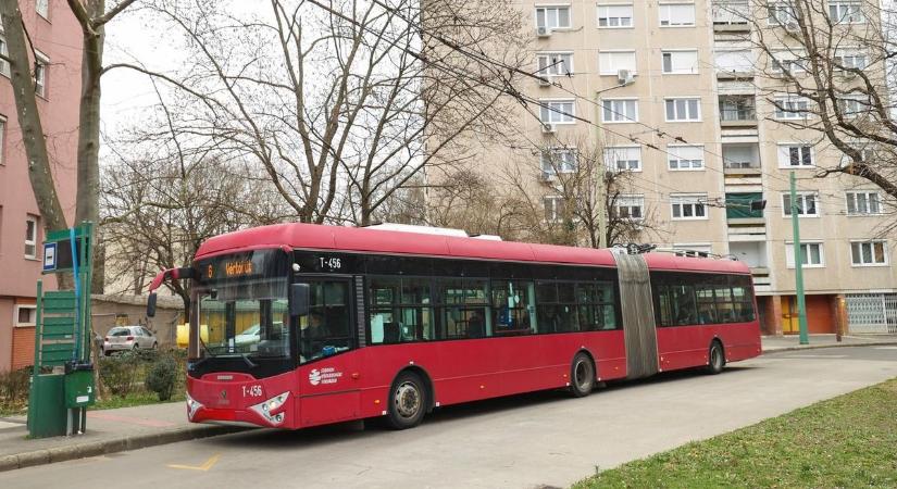 Figyelmetlen autós miatt sérült meg egy trolibusz utasa Szegeden