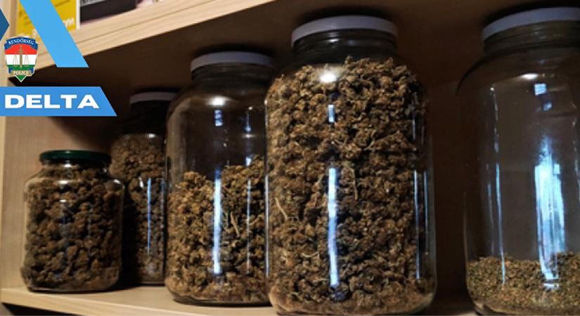 Több kiló marihuánát tartott otthon befőttesüvegekben egy szoboszlói férfi