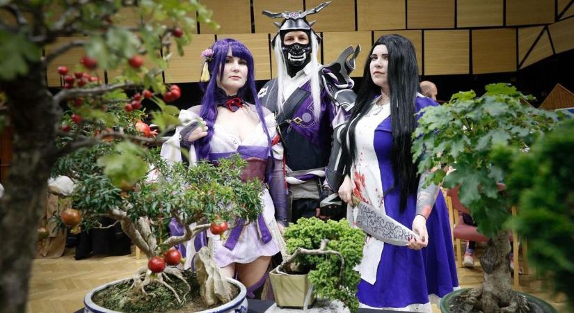 K-POP és japán tradíciók – Vas megyei programkavalkád