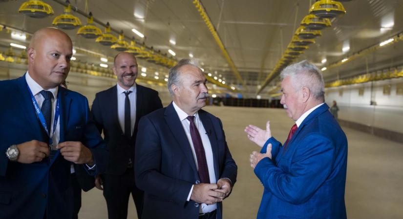 A baromfiágazat az egyik legversenyképesebb állattenyésztő ágazat