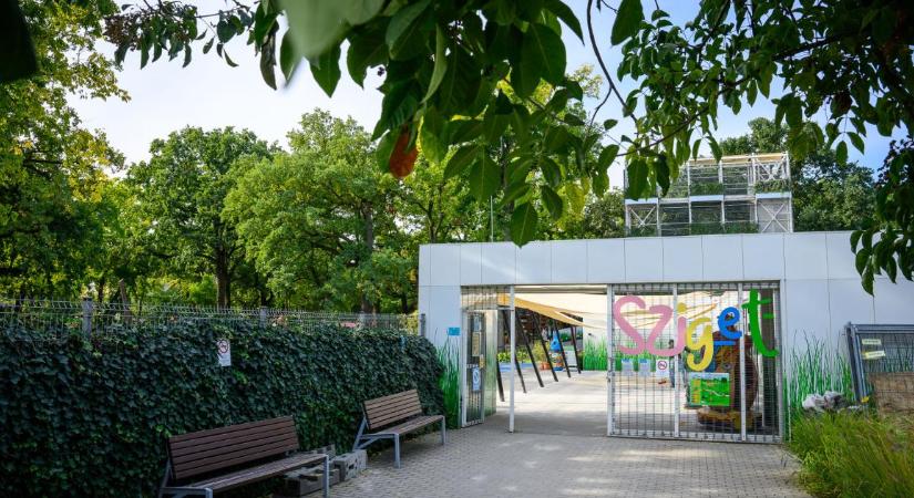 Debrecenben nevelik a jövő természetvédőit: új edukációs program indult iskolásoknak – fotókkal