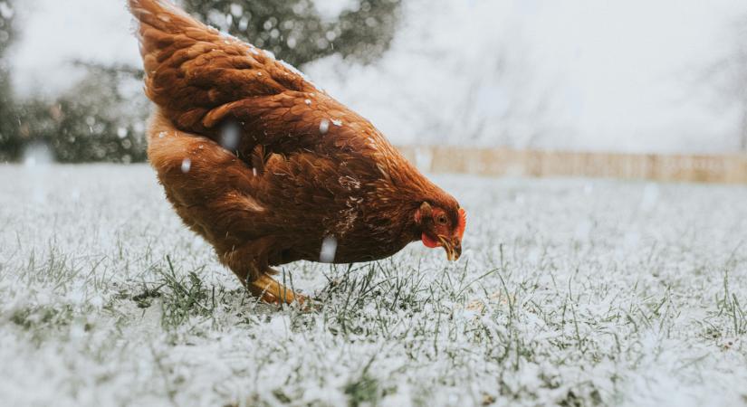 Ez durva: itt már úgy esik a hó, mintha december lenne
