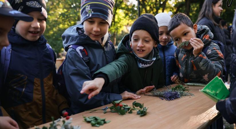Erdők Hete program a Batthyány parkban: így találkoztak a gyerekek az erdő világával