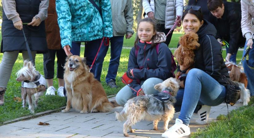 Ez aztán a munkahely! Nem csak adományt gyűjtöttek, a blökiket is megsétáltatták a parkban (videó, galéria)