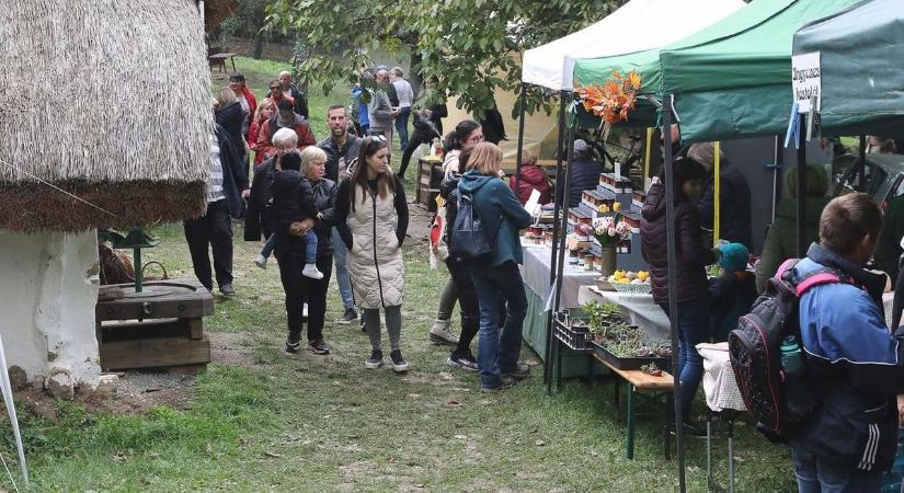 Cáki Gesztenyés Gasztro fesztivál - jön Cák legszínesebb őszi eseménye