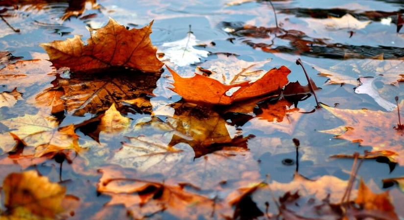 Borul minden: megérkezett az októberi-novemberi előrejelzés, senki nem érti, hogy lehetséges ez