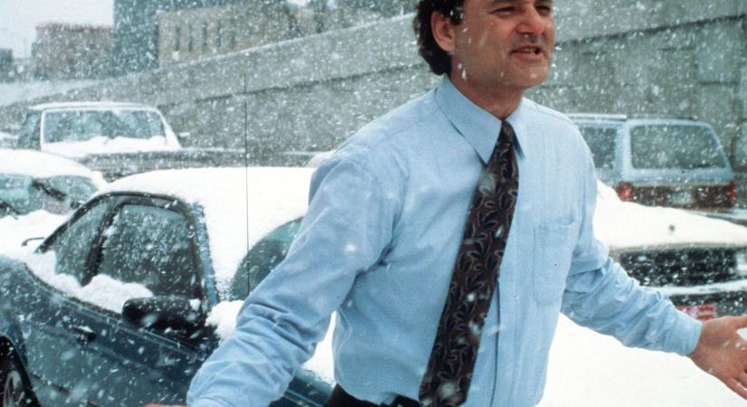 Egy tökéletes vígjáték, ami talán nem is az – Bill Murray páratlan alakítása