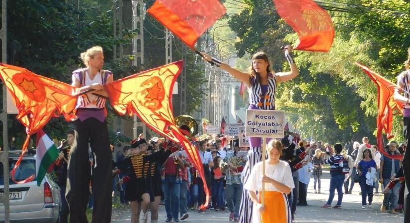 Színes kavalkád várja a látogatókat