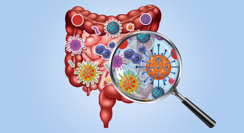 Bélflóra – Mire jó a mikrobiom-teszt?