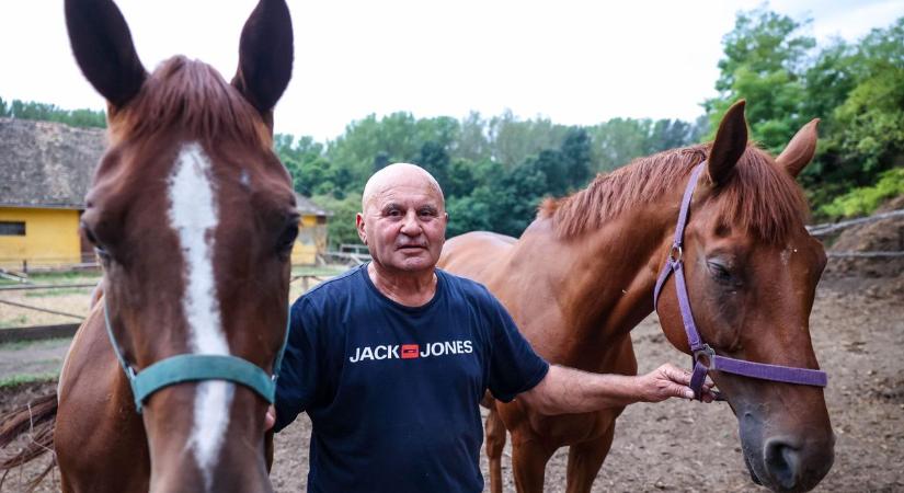 Tieger Endre készül a hatodik Nemzeti Vágta győzelmére (videó)