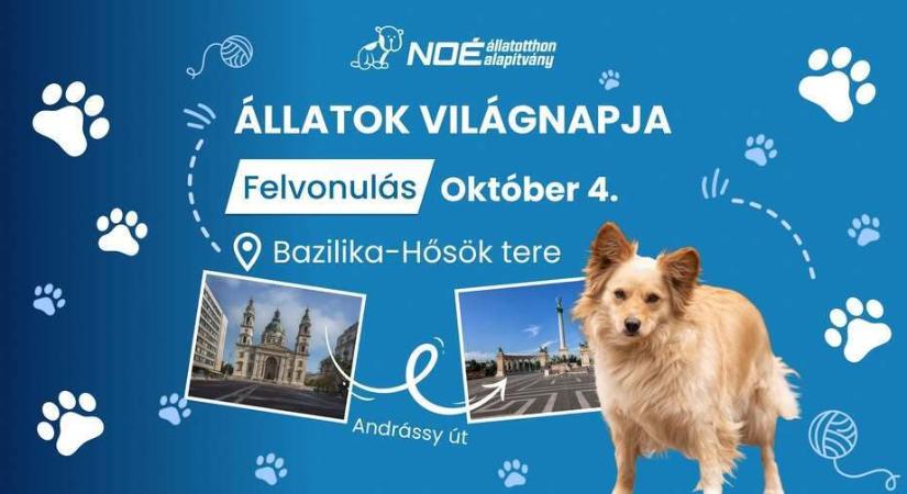 Idén is remek programok várnak az állatok világnapján