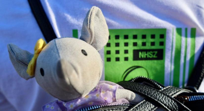 Családi nap egy hulladékudvarban? Pontosan ez lesz most szombaton Szolnokon
