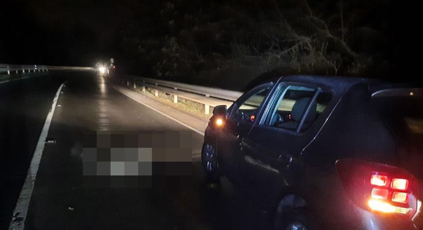 Elgázolt egy vaddisznót egy autó Nyíregyháza külterületén –a mentőszolgálat a helyszínen dolgozik