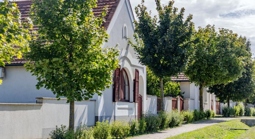 Vörösiszap 15: Feltámadás a vörös halálból
