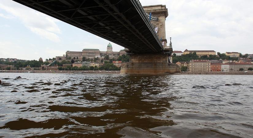 Nyugtatók inváziója – Súlyos következményei vannak az emberi felelőtlenségnek